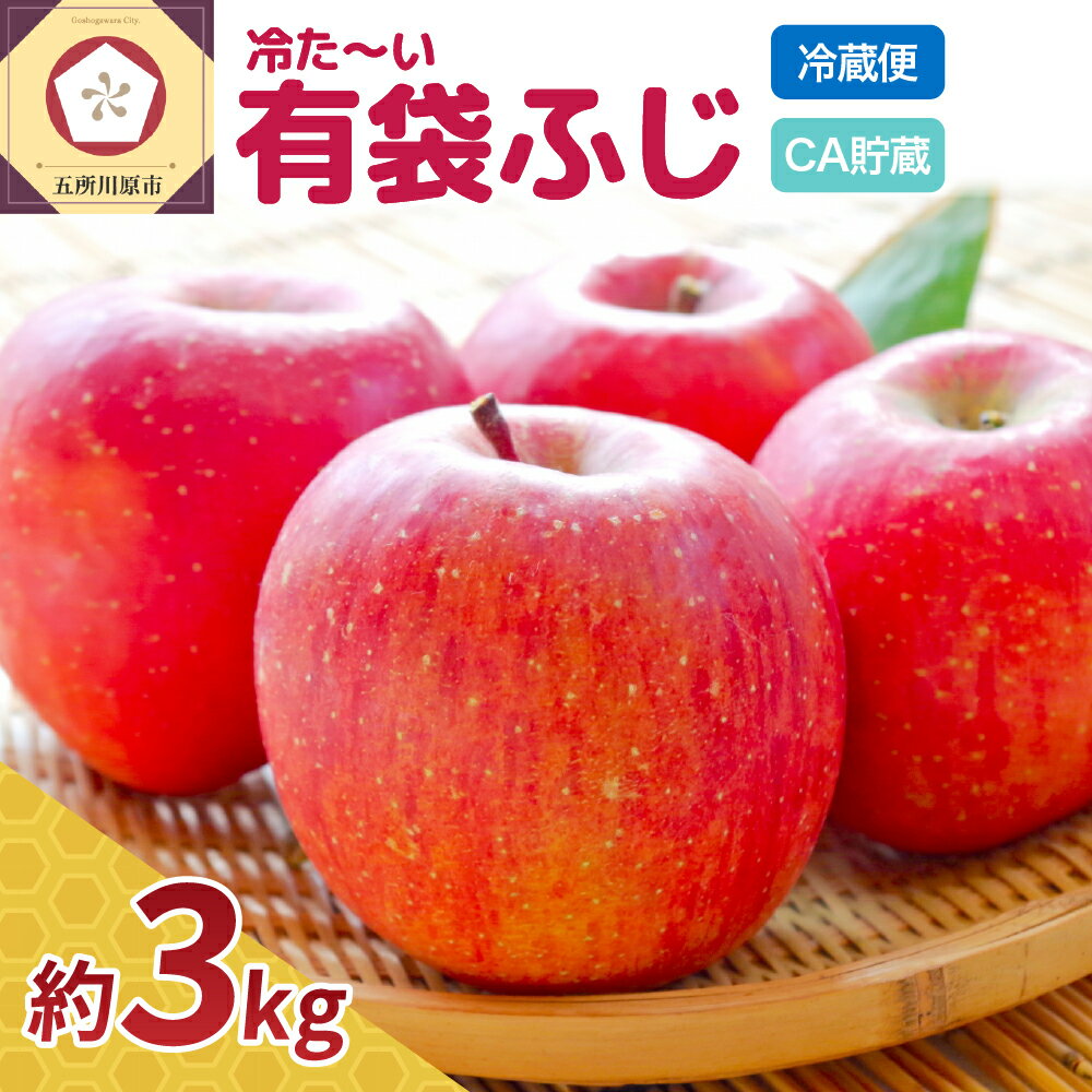 【ふるさと納税】【発送時期が選べる】CA貯蔵【贈答用】冷た～い 有袋ふじ 青森産 約3kg クール便【 有袋栽培 CA貯蔵 クール便 果物類 林檎 リンゴ ふじりんご フルーツ 果物 送料無料 青森 五所川原 五所川原市 】