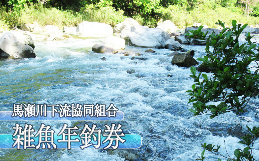 【令和8年】馬瀬川下流 雑魚年釣券  (2026年1月から順次発送)（2月21日(土)解禁）渓流釣り 年券 つり券 アマゴ イワナ あまご いわな 2026年
