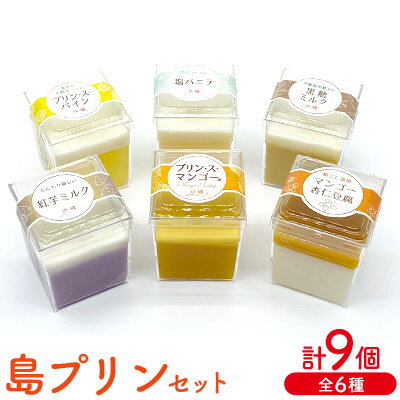 【ふるさと納税】島プリンセット　1箱(9個セット)全6種 おきぽた プリン 杏仁 豆腐 マンゴー スイーツ 専門店 マンゴープリン 黒糖 パイン 濃厚 新食感 人気 おすすめ 沖縄 お土産 プレゼント 贈り物 ギフト お取り寄せ