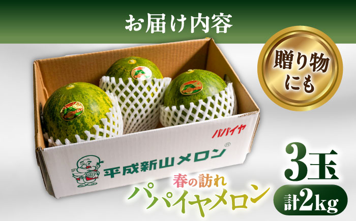 【2025年3月中旬~発送】【平成新山メロンPREMIUM（とみちゃん厳選）】パパイヤメロン 3個 / メロン 南島原市 / うえだメロン園 [SAD001]