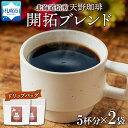 【ふるさと納税】 コーヒー ブレンド ドリップバッグ 5個入×2袋 珈琲 生豆 自家焙煎 フルーティー スペシャルティコーヒー 中挽き ドリップコーヒー 飲料 ドリンク ギフト グルメ 開拓 天野珈琲 北海道 札幌市