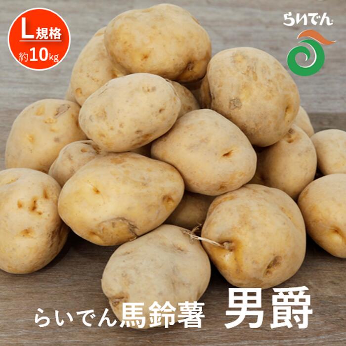 【ふるさと納税】2025年 8月 出荷 先行予約 らいでん 馬鈴薯 男爵 L 規格 約10kg じゃがいも イモ 芋 ポテト 北海道 共和町 産地直送 JAきょうわ 野菜 　お届け：2025年8月下旬〜9月下旬