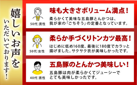 【全3回定期便】五島豚 とんかつ6枚 豚肉 冷凍 惣菜 五島市 / ニク勝 [PBF014] 豚肉 豚カツ トンカツ 豚肉 豚カツ トンカツ 豚肉 豚カツ トンカツ 豚肉 豚カツ トンカツ 豚肉 豚カ