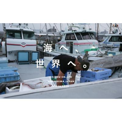 ふるさと納税 鳴門市 鳴門天然鯛開き一夜干し5枚セット |  | 01