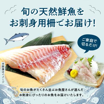 ふるさと納税 天草市 指定日必須【隔月　3回お届け】お刺身用柵定期便_S121-T04 |  | 01