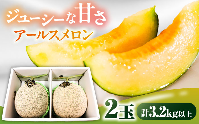アールスメロン 2玉 約3.2kg / メロン めろん 果物 フルーツ / 南島原市 / うえだメロン園 [SAD011]