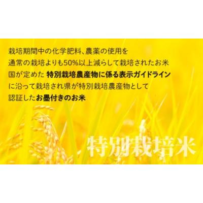 ふるさと納税 大野市 【令和7年産 】【12ヶ月定期便】こしひかり 5kg × 12回 計60kg【玄米】「特別栽培米」 |  | 02