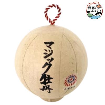 ふるさと納税 湖西市 4号花火 模型玉【マジック牡丹】玉名入り