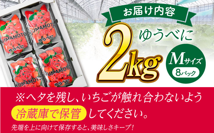 【先行予約】いちご Mサイズ ゆうべに 2kg（8pc）【熊本ベリー】いちご イチゴ 苺 ゆうべに 大粒いちご  [ZER008]