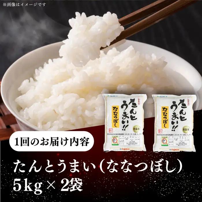 令和7年産 令和8年産 【全12回定期便】ななつぼし [たんとう米] 10kg 米 定期便 1年 12ヵ月 お米 白米 ご飯 ななつぼし 北海道 [AXAB022]
