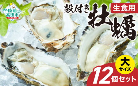 【殻付き生牡蠣】大サイズ12個 冷蔵 生食 牡蠣