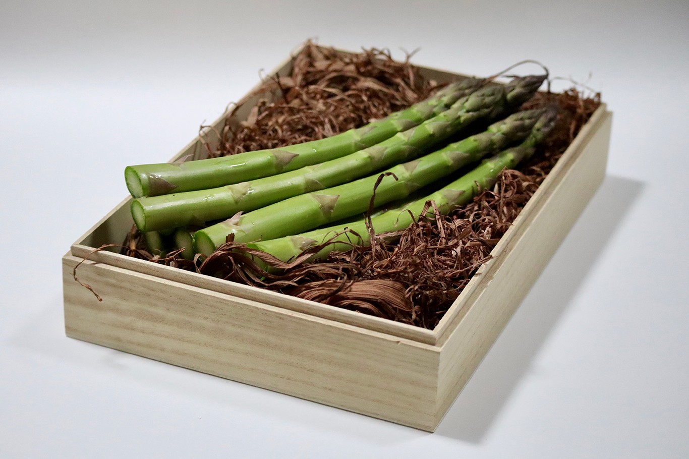 
                  QQ02　【北海道由仁町】春の恵みをお届け！朝採りグリーンアスパラ
                