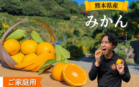 ＜ R8年熊本地震復興支援 ＞【訳アリ】「河内みかん堂」のみかん4kg＋傷み補償付き（家庭用）【2026年11月上旬～2027年2月上旬まで発送予定】