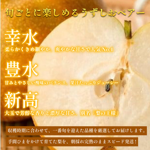 梨 なし 4.5kg以上 10〜13玉 3L〜5Lサイズ 2026年 8月順次発送