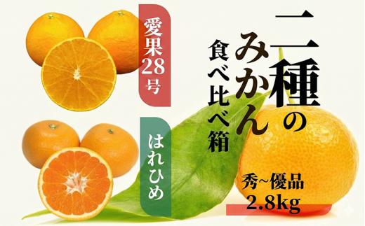 【2026年12月より順次発送】二種のみかん食べ比べ箱　愛果28号・はれひめ( 秀~優品 ) 約2.8kg （ 愛果28号 まどんな 柑橘 みかん 果物 くだもの フルーツ おすすめ 高級 人気 お取り寄せ グルメ ギフト 期間限定 数量限定 ご当地 愛媛県 松山市 ）