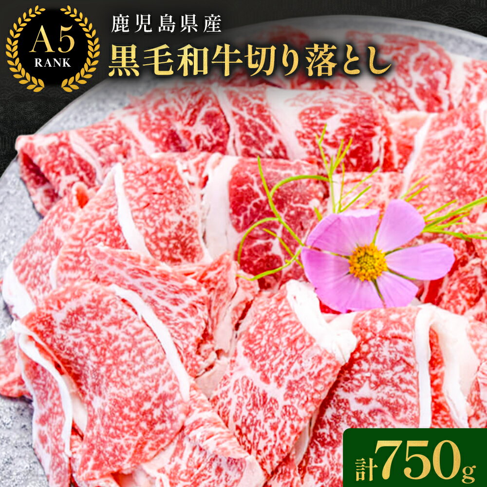 【ふるさと納税】鹿児島県産黒毛和牛切落し250g×3パック【株式会社カミチク】 《90日以内順次出荷(土日祝除く)》鹿児島県産 A5 黒毛和牛 和牛 切落し 250g×3パック 計750g