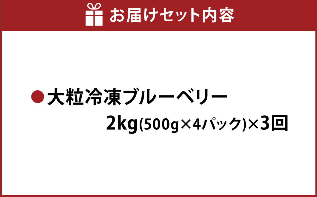 【3か月連続定期便】 熊本県産 大粒 冷凍 ブルーベリー 2kg（500g×4パック）×3回 合計6kg