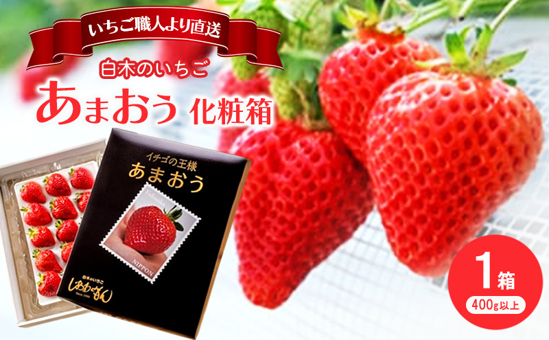 いちご 1月配送 しあわせもん あまおう 化粧箱 1箱 いちご職人 白木のいちご イチゴ 苺 果物 デザート ※配送不可：沖縄・離島