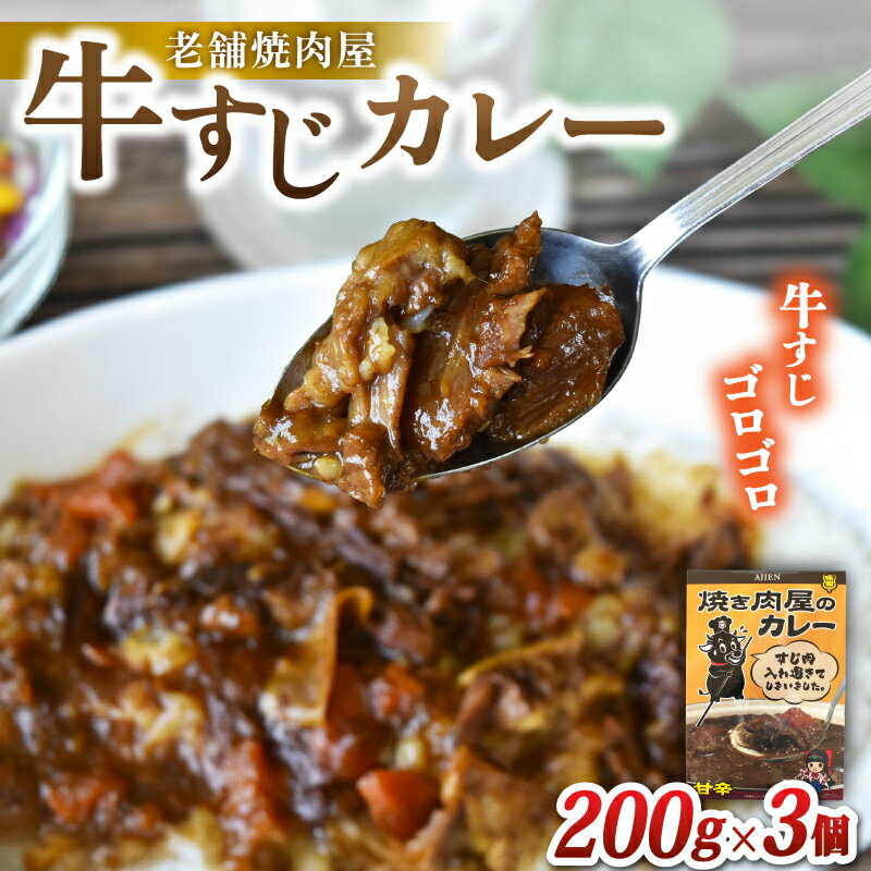 【ふるさと納税】 味園特選牛すじカレー　国産黒毛和牛 ／ 高級ギフト 焼肉ホルモン味園 奈良県 葛城市