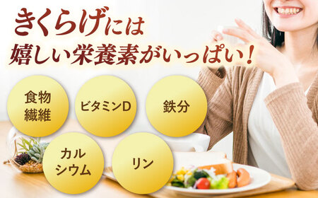 きくらげパウダー 3袋セット 桂川町/オドラ株式会社 [ADBA003] きくらげ 木耳 きくらげ きくらげセット 調味料