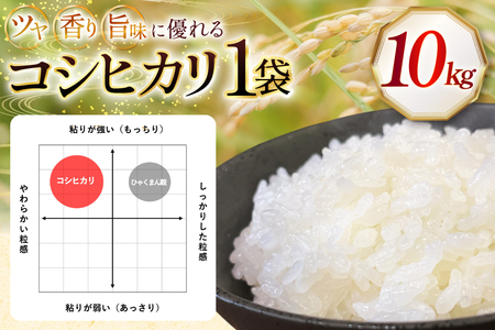 米 令和7年 石川県産 コシヒカリ 10kg 1袋