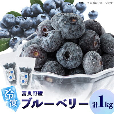 【ふるさと納税】2025年富良野産 大粒 冷凍ブルーベリー 500g×2袋_ ブルーベリー 大粒 果物 フルーツ くだもの 冷凍 富良野 北海道 人気 おすすめ 送料無料 贈答 ギフト お取り寄せ 500g セット スムージー ジャム 【配送不可地域：離島】【1437489】