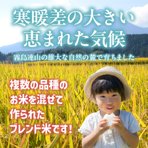 白米  小林市産ブレンド米 10kg 5kg×2袋 お米 米 