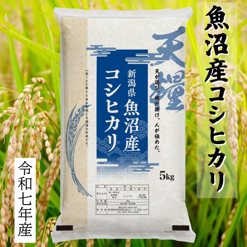 新潟県産コシヒカリ5kg　米 コメ こしひかり ブランド米 お取り寄せ 新潟市