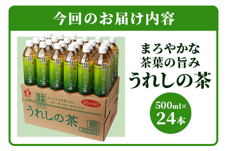 うれしの茶　500mlペットボトル×24本入箱買い セット お茶 飲料 緑茶 飲み切りサイズ B-664