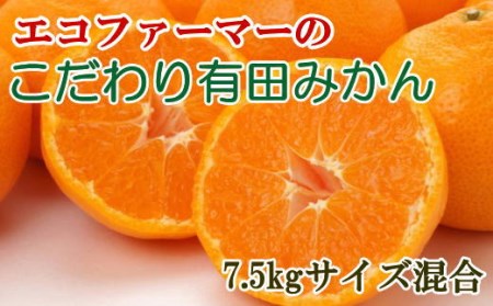 エコファーマーのこだわり有田みかん約7.5kg（サイズ混合）※2024年11月中旬～2025年1月中旬ごろに順次発送(お届け日指定不可)【tec835】