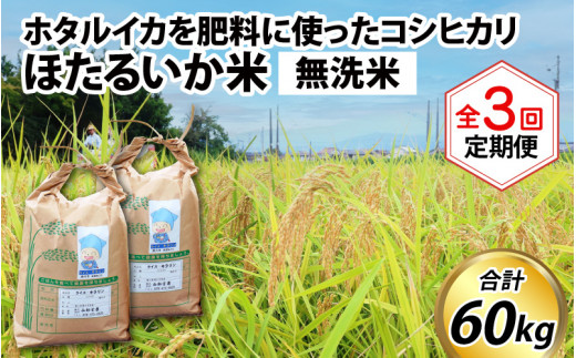 ほたるいか米（無洗米20kg）×3回 計60kg【3ヶ月定期便】