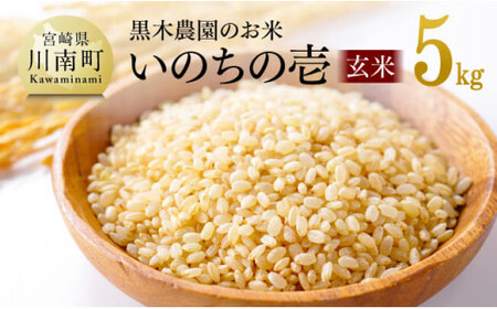 【令和6年産】 黒木農園のお米 「いのちの壱(玄米)」 5kg 【 米 お米 玄米 国産 宮崎県産 いのちのいち おにぎり 】