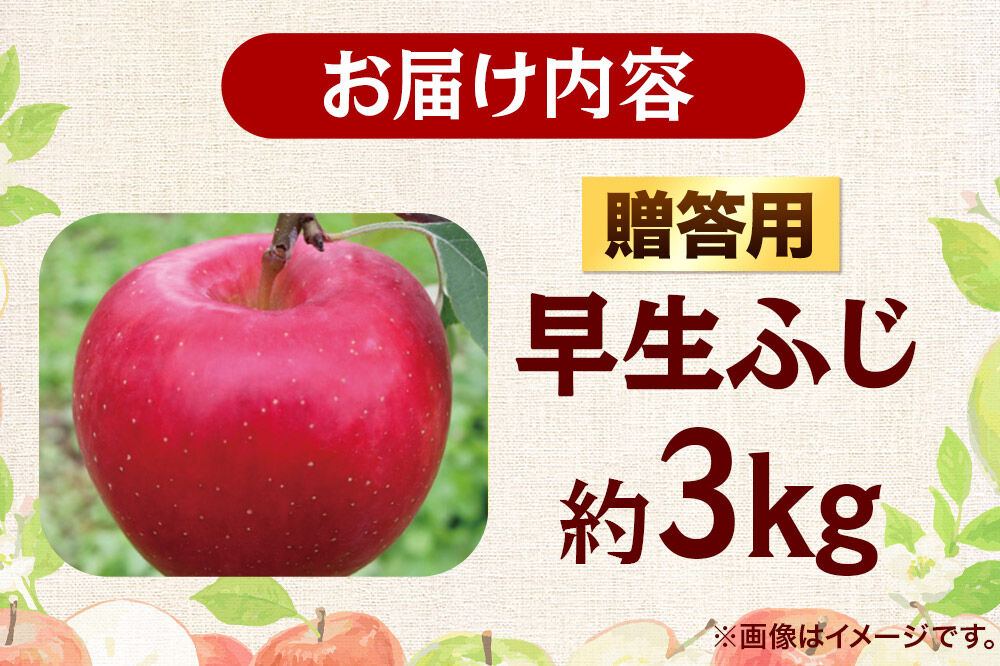 【26年10月発送】りんご 早生ふじ【贈答用】約3kg 青森県 弘前市 [早生ふじ りんご 贈り物 贈答用 お歳暮 お中元 ギフト 3キロ アップル おいしい 果実 果物 詰め合わせ セット 赤色 美