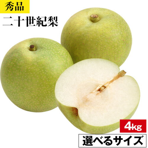 【ふるさと納税】＜2025年先行予約＞【秀品】選べる二十世紀梨 4kg L 2L 3L 4L さんチョク《9月上旬-9月中旬頃出荷》
