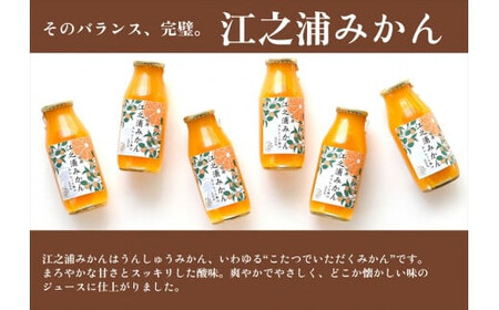 定期便 3回 小田原産江之浦みかん100%ストレートジュース180ml30本
