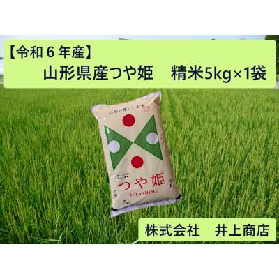 ふるさと納税 川西町 令和6年産山形県産　つや姫　精米5kg×1袋