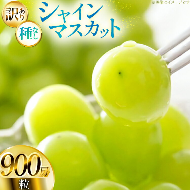 【ふるさと納税】【期間限定発送】 シャインマスカット 訳あり 粒 900g [tk06ayt380001 山形県 高畠町 Yamagenフルーツガーデンレコルト] ご家庭用 ぶどう ブドウ 葡萄 フルーツ 果物 くだもの 甘い