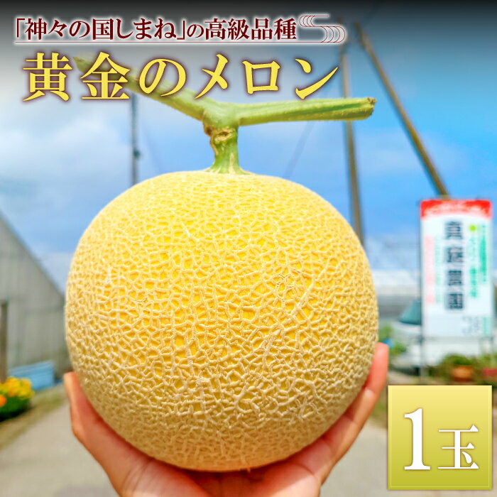 【ふるさと納税】 先行予約 ゴールデンパール 1玉入り オリジナル メロン 期間限定 数量限定 季節限定 早期予約 予約 果物 フルーツ 貴重