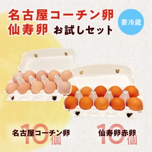 名古屋コーチン卵・仙寿卵お試しセット(各10個入り)良質卵 [006K02]