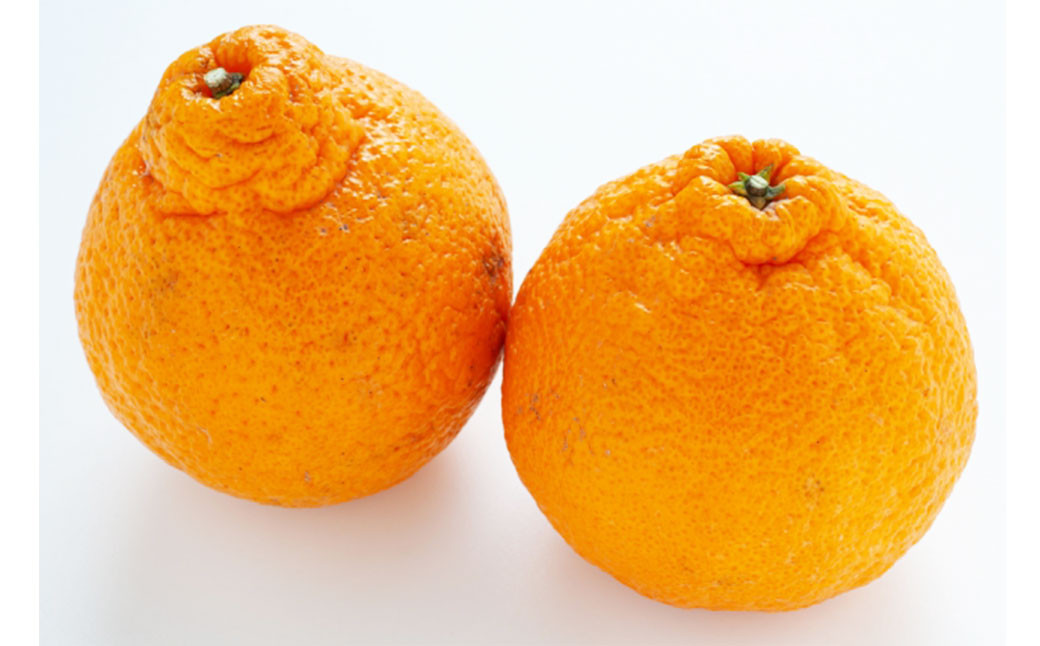 
            不知火 3L～L 約5kg みかん ミカン 蜜柑 果物 くだもの フルーツ 柑橘 【2026年3月発送予定】（819）
          