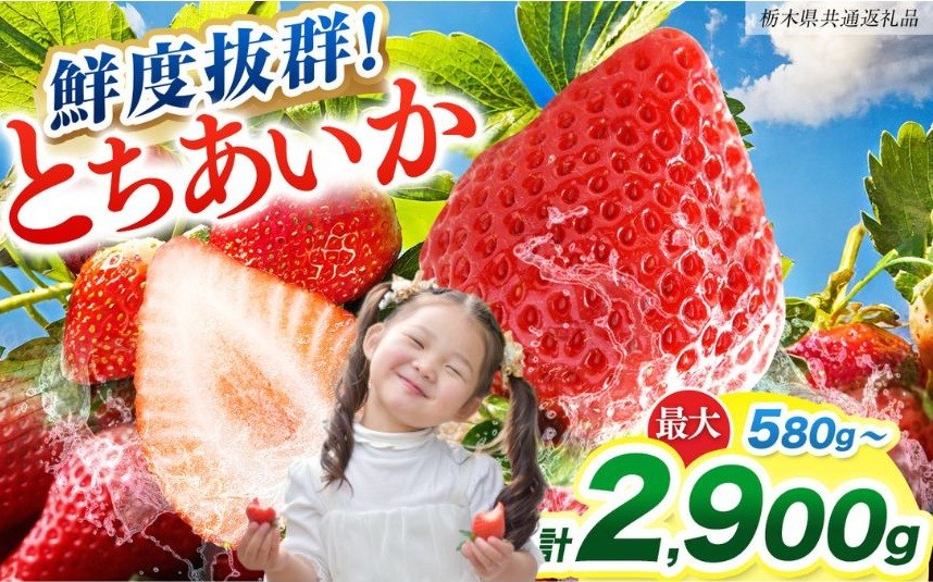 
                  【ふるさと納税】[期間限定] 【選べる内容量】鮮度抜群とちあいか 290g×2、4、6、8、10P 先行予約【栃木県共通返礼品】｜栃木県産 矢板市産 フルーツ スイーツ デザート 果物 果実 産地直送 栃木県 矢板市
                