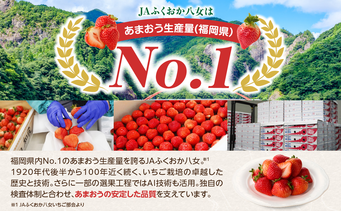 【先行受付：2027年2月発送開始】博多あまおうＧ270g×2パック｜JAふくおか八女 あまおう いちご 苺 イチゴ フルーツ 果物 くだもの 人気 旬 福岡県産 大粒 アフター補償 数量限定 期間限