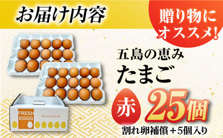 【箱入り】五島の恵みたまご M-Lサイズ 25個入 / 卵 赤玉子 五島市 / 五島列島大石養鶏場 [PFQ037]  玉子 タマゴ 鶏卵 希少 五島列島