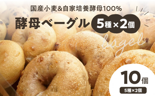 
国産小麦＆自家培養酵母100％　酵母ベーグル5種×2個 10個セット ベーグルセット プレーン ベーグルパン パンベーグル もちもちベーグル プレーンベーグル チョコベーグル チーズベーグル 胡桃ベーグル オレンジベーグル 酵母 朝食 おやつ【065-10】
