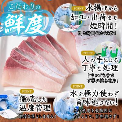 ふるさと納税 垂水市 【鹿児島産】冷蔵ぶり 皮無ポーション(背腹計4p) 計約700g【アクアブルー】 |  | 01