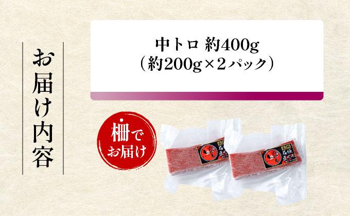 【数量限定】石垣島産 天然本マグロ 中トロ 約400g ヤエスイ ＜2025年6月下旬より発送＞ | 産地直送 中トロ 中とろ 国産 まぐろ 鮪 天然 赤身 魚 お刺身 本まぐろ マグロ 沖縄県 沖縄