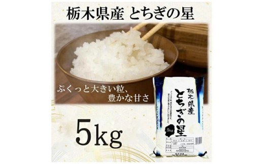 【令和7年産】栃木県産とちぎの星（精米）5kg×1袋 ｜ お米 白米 一等米 送料無料 栃木県 宇都宮市　※離島への配送不可