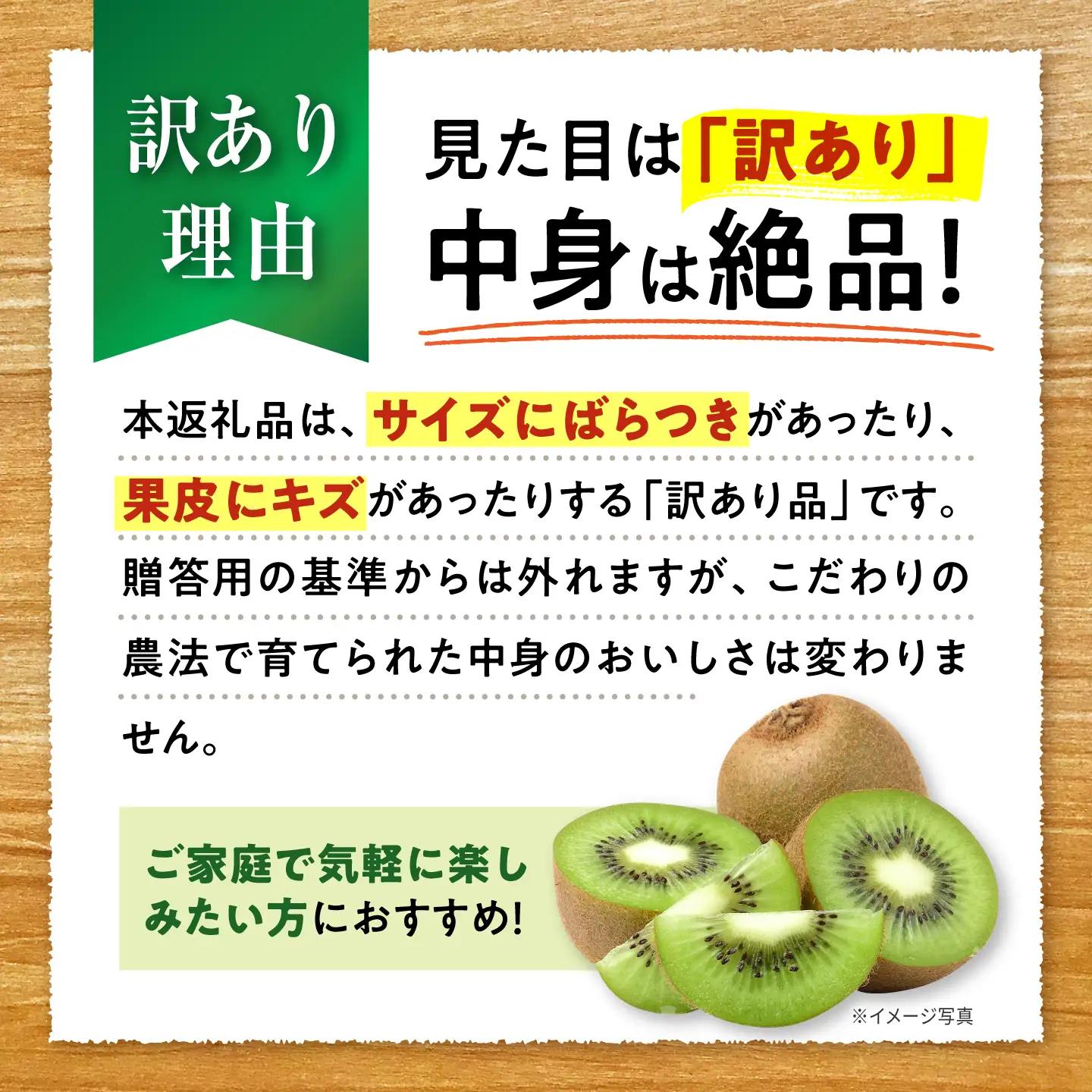 キウイ 訳あり キウイフルーツ ヘイワード サイズ不揃い 約5kg 50個前後 / フルーツ 果物 キウイフルーツ キウイ キューイ キゥイ キュウイ 甘い 先行予約 5kg 愛媛 / 愛媛県砥部町/