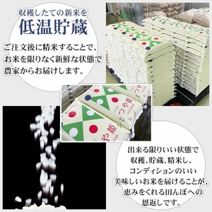 【令和7年産】 山形県庄内産 工藤さんの特別栽培米 つや姫 無洗米 5kg（5kg×1袋） 山形県鶴岡市 株式会社サンエイファーム　| 米 お米 コメ こめ つやひめ 5キロ ご飯 ごはん ブランド米