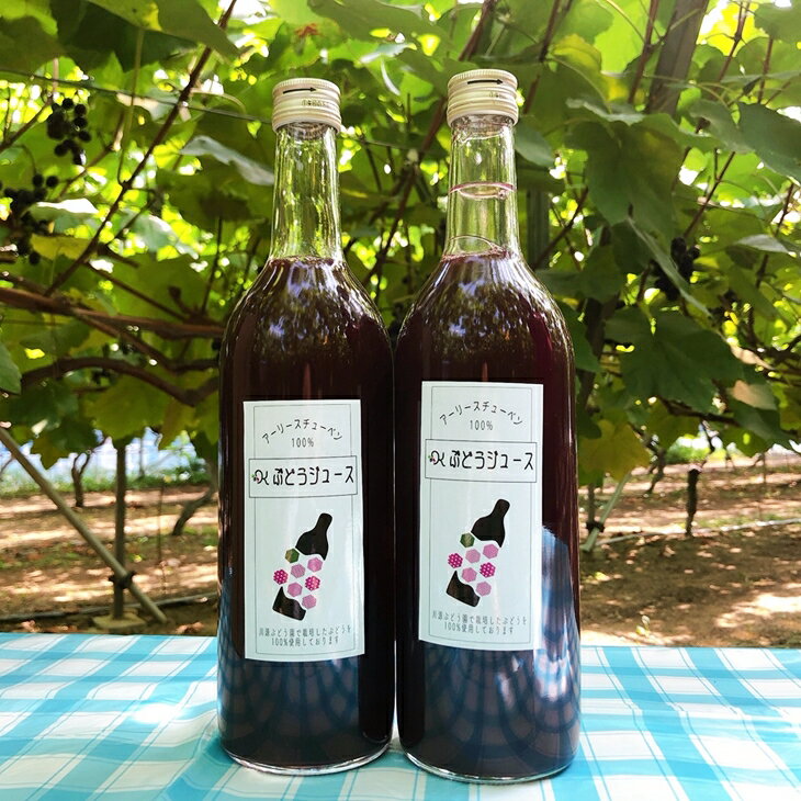 【ふるさと納税】ぶどう ジュース 2本セット《糖度18〜20度のぶどう100％使用》フルーツ 果物